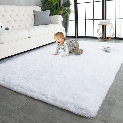 Fluffy Plush Carpet