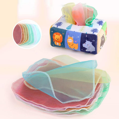 Tissue Box Sensory Toy