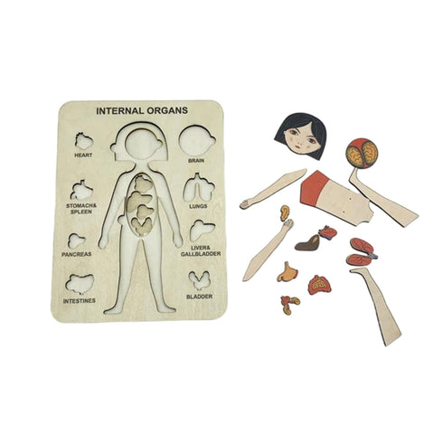 Human Body Montessori Puzzle