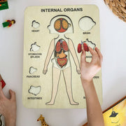 Human Body Montessori Puzzle