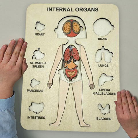 Human Body Montessori Puzzle